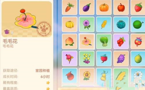 摩尔庄园手游毛毛花怎么获得 种子在哪买介绍