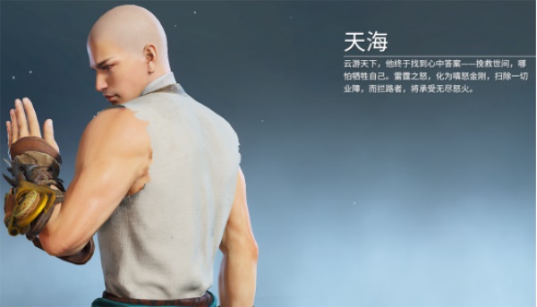永劫无间天海武器搭配推荐